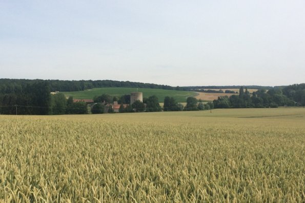 2018 06 24 Fère en Tardenois (1)